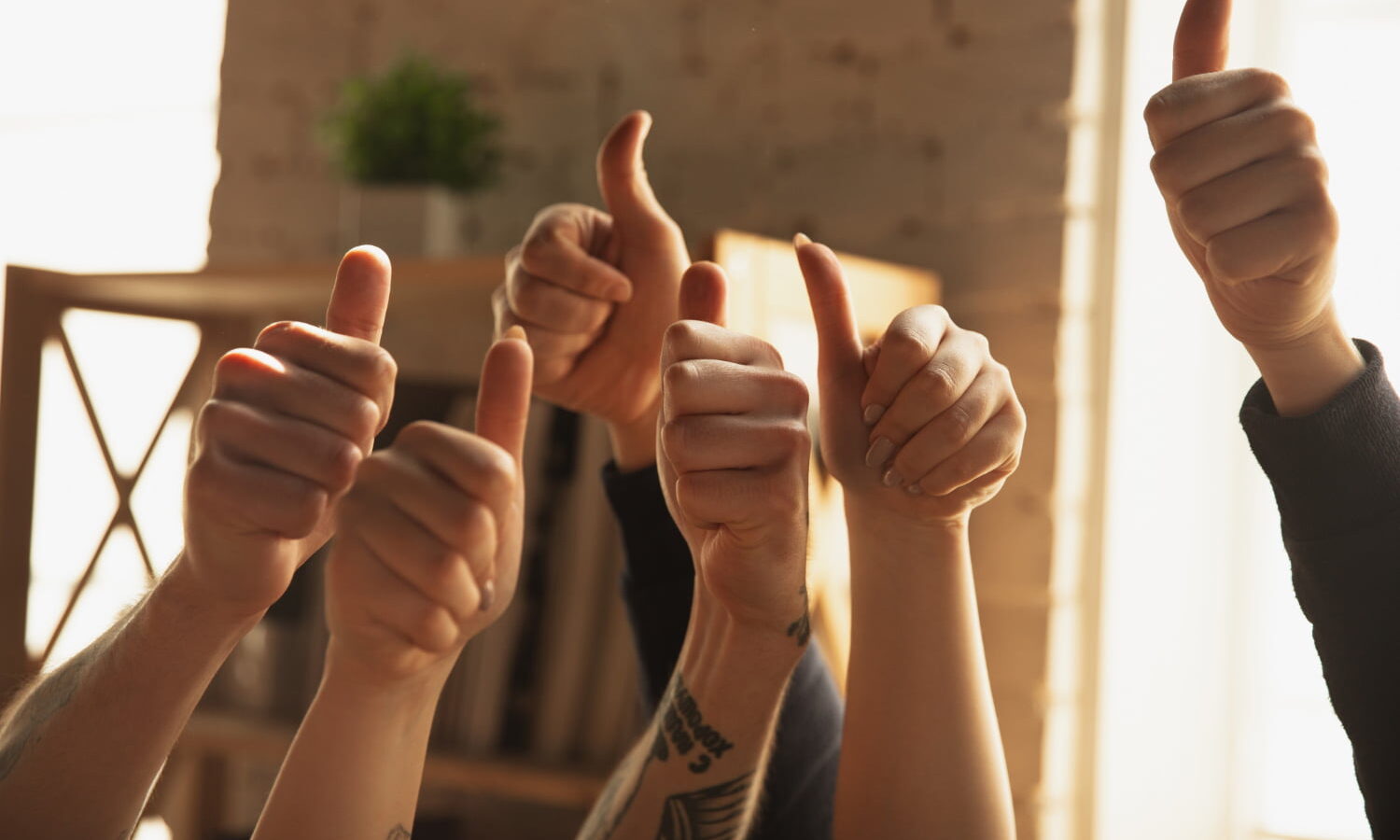 {{brizy_dc_image_alt entityId=